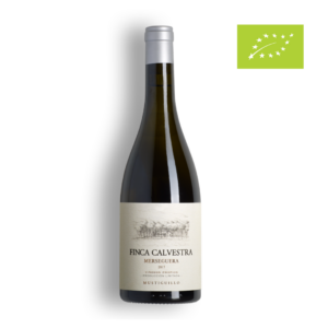 FINCA CALVESTRA